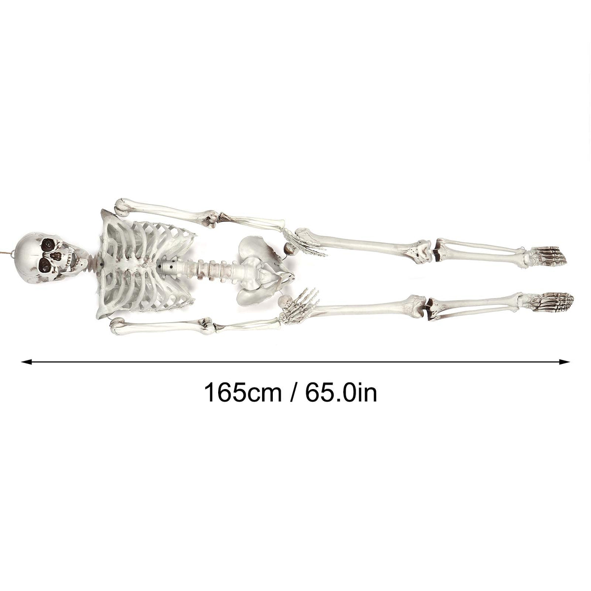 Halloween Resin Skeleton Prop – Full Body Indoor & Outdoor Party Decor