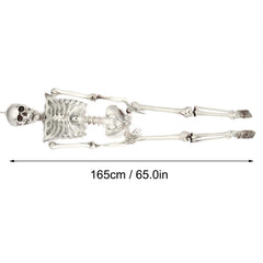 Halloween Resin Skeleton Prop – Full Body Indoor & Outdoor Party Decor