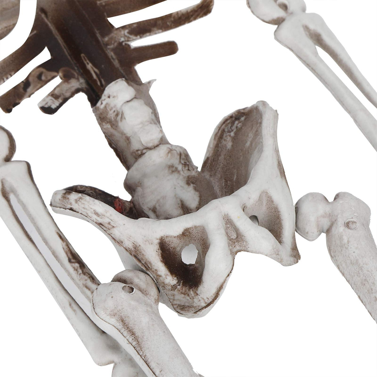 Halloween Resin Skeleton Prop – Full Body Indoor & Outdoor Party Decor