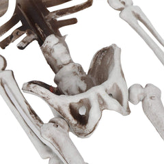 Halloween Resin Skeleton Prop – Full Body Indoor & Outdoor Party Decor