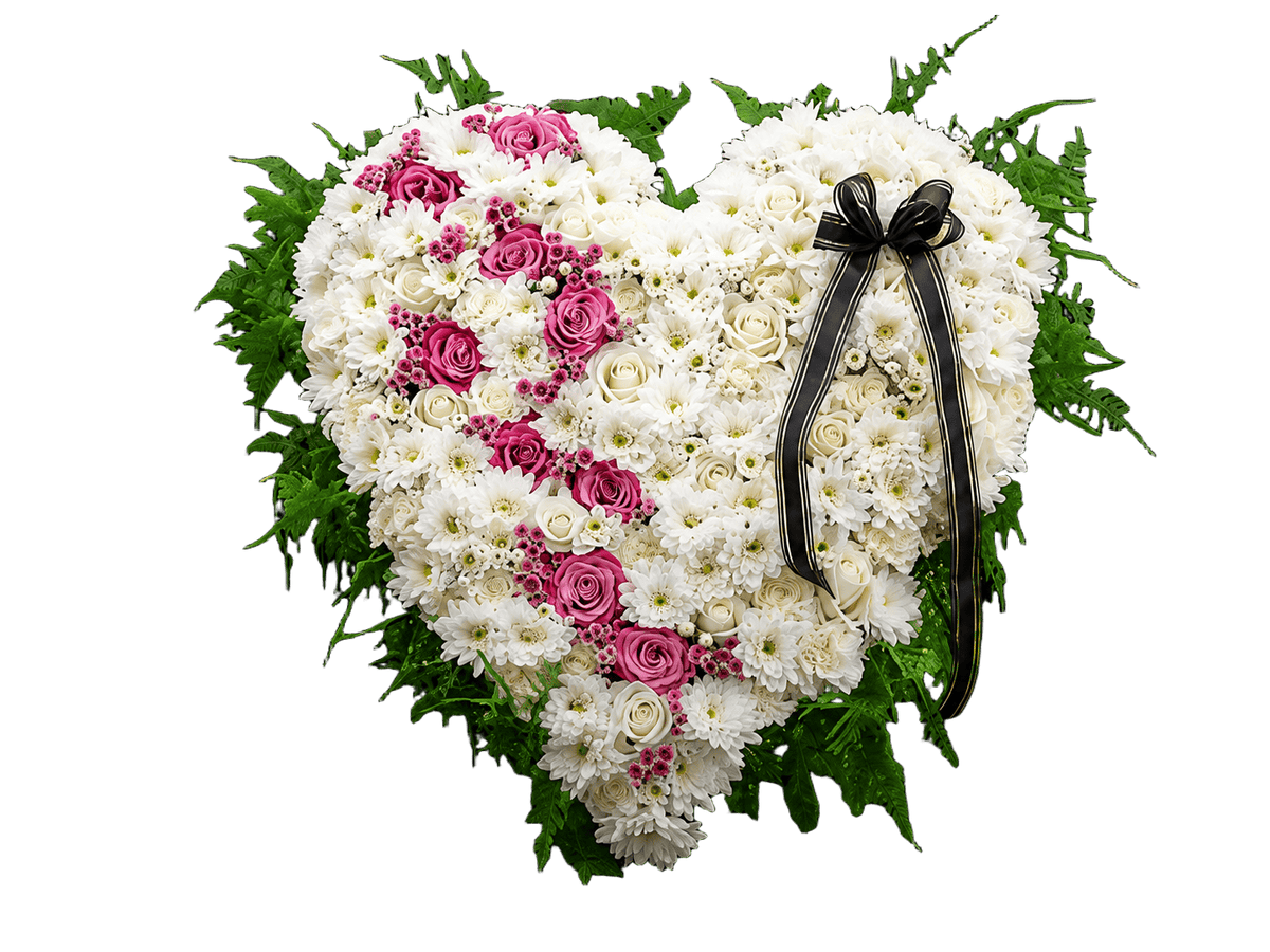 Special Occasions & Events